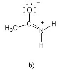 There is structure b. There is a carbon atom, which is single-bonded to a CH3 group and an oxygen atom, which has three lone pairs, and double-bonded to an NH2 group. The nitrogen atom has a positive charge, while the oxygen atom is negatively charged.