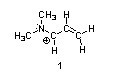 The first structure is H3CNCHCHCH2, with a double bond between the third (from left to right) and the fourth carbons. The second carbon has a positive charge. The nitrogen atom is bonded to a CH3 group and has a lone pair. 