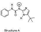 There is structure A: HNCNH, with a benzene ring attached to the first (from left to right) nitrogen atom and oxygen attached to the carbon atom. The hydrogen attached to the second N atom is circled. The second nitrogen atom is bonded to the first atom of a five-membered ring, which has a double bond between the first and second (clockwise) atoms and between the third and fourth atoms. The fourth atom of this five-membered ring is bonded to a carbon, which has three CH3 groups attached. The second and fifth atoms of the ring are nitrogen atoms and the other atoms are carbons. 
