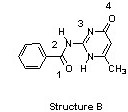 There is structure B: OCNH, with a double bond between the O and the C atoms and a benzene ring attached to the carbon. The O atom is labeled as 1. The N atom is labeled as 2 and has a six-membered ring attached by its first atom. The six-membered ring has a double bond between the first and the second (clockwise) and the fourth and the fifth atoms, an O atom, labeled as 4, double-bonded to the third atom, and a CH3 group attached to the fifth atom. The second atom of the ring is labeled as 3. Moreover, the second and the sixth atoms of the ring are nitrogens, while the other atoms are carbons.