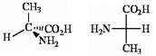 The figure shows two molecular structures. The first structure is as follows: the central C atom, with a CH3 group at the top position, an H atom at the left position, an NH2 group at the right position bonded to the central C with a wedge, and a CO2H group at the right position bonded to the central C with a dash. The second structure is a Fischer projection for a molecule. The carbon chain is depicted vertically with a CO2H group at the top and a CH3 group at the bottom, while the remaining carbon atom is represented by the center of crossing lines. The molecule has an NH2 group on the left and an H atom opposite to it.